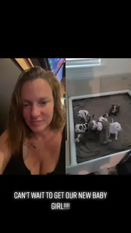 #duet with @1603bullys y'all are picking the name!!! #CompleteMyLook #NikoMaximus #fancylike #americanbulliesoftiktok