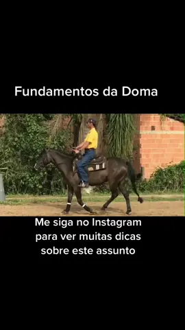 #caballo #polo #vaquejada #vaquero #coleador #pato #doma#domador#equestre #lacocomprido