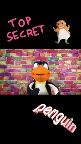 More fun from the nations favourite Penguin... #puppetmaster #puppetry #puppetsoftiktok #puppets #secret #penguin #hamsterdance #cubanboys