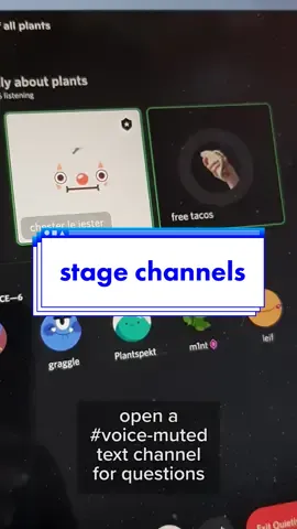 how to host audio events on discord #discord #discordserver #voice #stage #channels