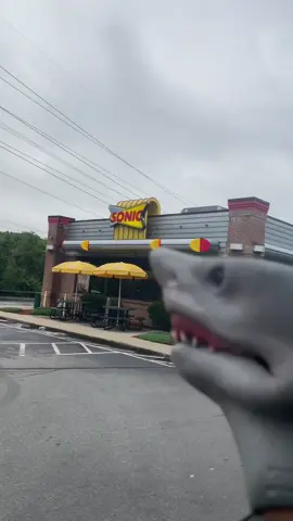 SONIC! #sharkweek #foryou