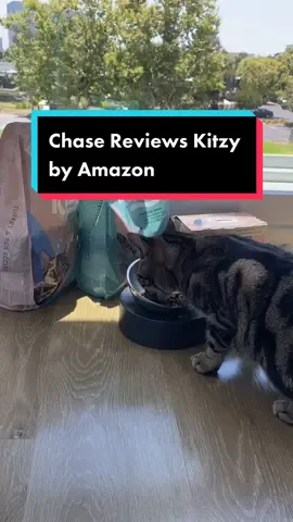 #ad Chase approves Kitzy’s delicious cat food by @amazonpets #felinegoodwithkitzy #AmazonKitzy #ad