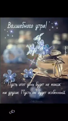 #ждулайковспасибо #доброеутро