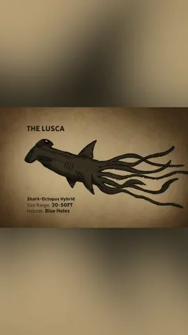 The legend of the lusca 🦑 🦈 #SharkWeek #sharks #LearnOnTikTok  #TikTokPartner
