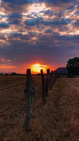 Atardecer en el campo 😍 (Dedicado para @_moonlight_editss por ser su cumple años ☀️🎉) #sunset #atardecer #vibes #aesthetic #parati #paisajes #nature