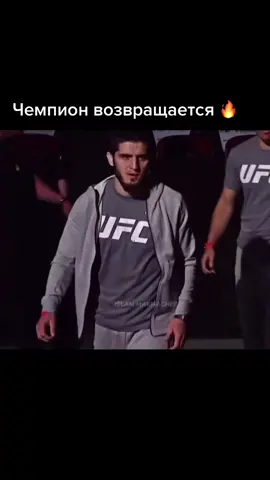 #исламмахачев #champ #UFC