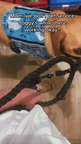 parenting done 100% right. This mom did such an amazing job teaching her little girl about service dogs! #servicedog #dog #serviceanimal #fyp #foryou