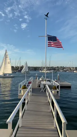almost too good to be true #newportbeach #oc #orangecounty