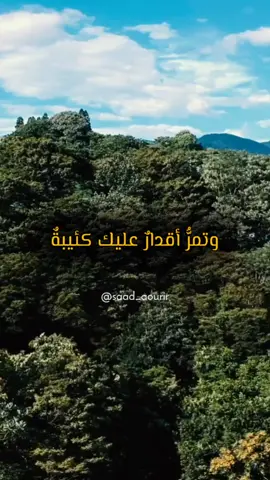 #saad_aourir #العرب #شعر #لاتنسى_الاشتراك #foryou
