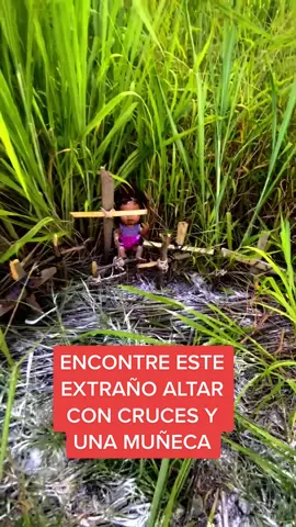 Parece como si quisieran que me diera cuenta de algo 🤔🤔😰#extraño #real #casosextraños #historias #altar #cruces