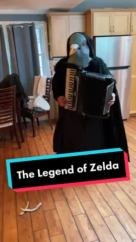 Discount Kass Returns. #zelda #accordion #nintendo #kass #breathofthewild