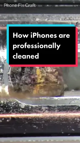 This is how iPhones are professionally cleaned and repaired. #TikTokPartner #LearnOnTikTok #TechInsider #iPhone #DeepClean