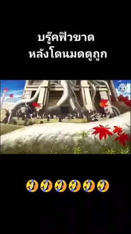 #onepiece #วันพีช