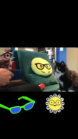 Truffles the kitty helps kids understand how to take care of their glasses #trufflestgekitty #glasses #cat #catsoftiktok #tuxedocat #kidsinglasses