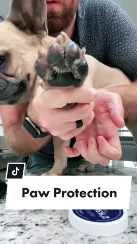 Reply to @stephaniekbonds #tutorial #dogpaw #frenchiesoftiktok #LeadWithLove #olympicspirit