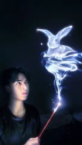 chiếc đũa xới cơm của mẹ là một chiếc đũa phép #edit #creative #magic #wizard #guardian
