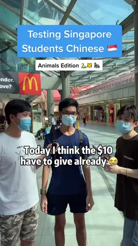 I CAN FEEL IT ~ #tiktoksg #fyp #streetinterview