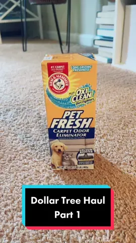 #VoiceEffects #fyp #dollartreediy #budgetmama #XfinityFanthem #LeadWithLove #DontQuitYourDaydream #organizedhome #onthecheap #chipmunkvoice #cleaning