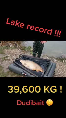 #fypシ #viral #tiktokviral #tiktok #angler #anglerfish #bigfish #dudibait #ontario #jezeroontario #jezero #pescuit #pescuitlacrap #mirrorcarp #record