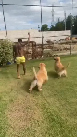 Neymar playing with two dogs 😁#neymar10tiktok #neymarfan#neymar#neymarjr#neymarjr10 #neymarjr_10jr #neymaredits #viral#funny#foryou#fyp#njr10