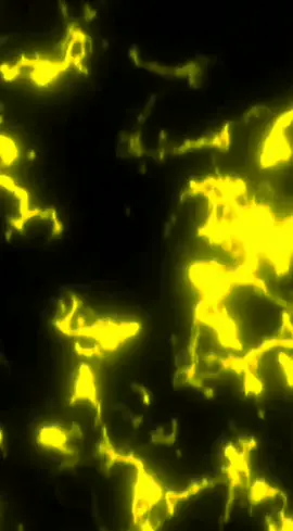Yellow fire #xybca #fypシ #fyp #viral #mentahan #capcut #presettiktokviral #mentahanvideo #mentahanvideo #presetalightmotion #pubg #freefire #viral