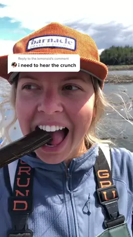 Reply to @the.lemonaid  could this be considered kelp asmr? 😅 #fypシ
