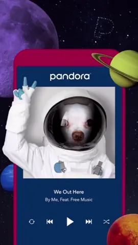 #greenscreen she’s so awesome #lilli #chihuahua #chichi #PetsOfTikTok #pet #fy #foryou #dog #animal