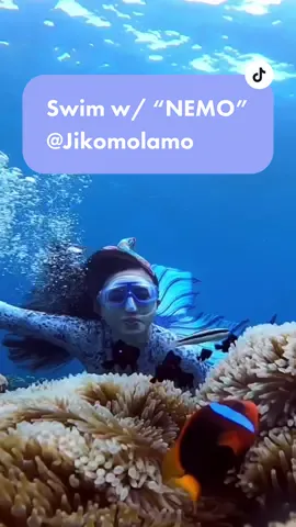 Weekend bersama #nemo, yang pengen liat nemo - Snorkling aja di #jikomolamo #ternate #malukuutara #jagalaut