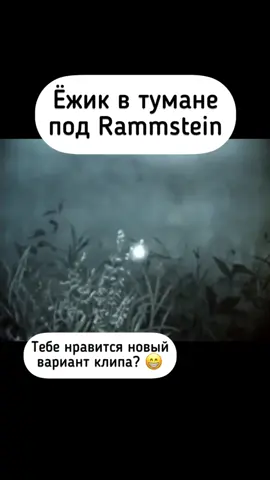 Выглядит круто, правда?🇩🇪😉 #германия #rammstein #немецкий #немецкийязык #deutsch