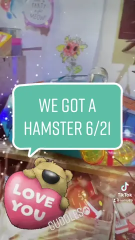 That time we brought our Hamster home for the first time.