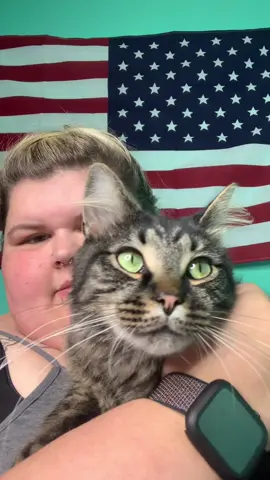 #QuickBooksVictoryPose#TheSuicideSquadMovie#cat#catsoftiktok#kitty#fypシ#foryourpage#catlove