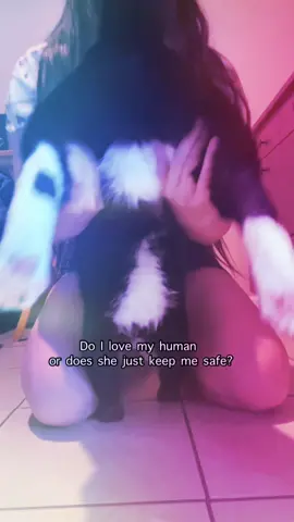 Do I love her? #catsoftiktok #onthejob #TheSuicideSquadMovie #selfcaretiktok #pose #raiseatoast #TikTokFanFest