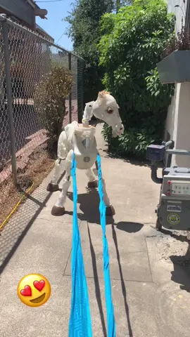 Here he comes 😍