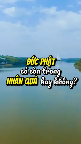 Đức Phật còn trong Nhân Quả hay không? #phat #phatphapnhiemmau #phatphap #phatgiao #xuhuong #tiktok #BacThayBienDao #ThuThachCatAnh #TestNhanPham