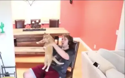 My fav redhead 😩 #fyp #shane #shanedawson #cat #litterallymylife