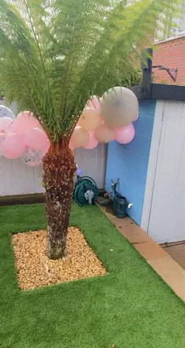 It’s my birthday ❤️#birthdaytransformation #birthdaygirl #gardentransformation #partytime #gardenpartyvibes #gardenpartyready #pool #poolparty