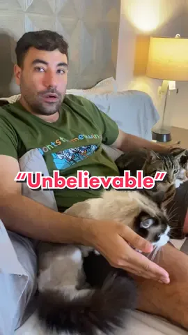 Is it a me problem... #fyp #foryou #foryoupage #catsoftiktok #4u