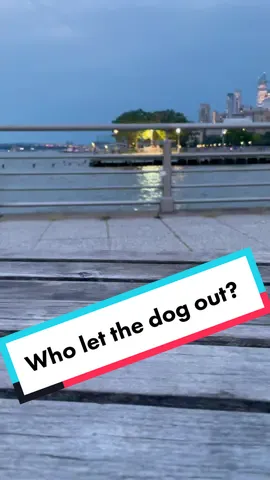 Spotted at the Hudson River in the West Village 👀 #nyc #fyp #sunset