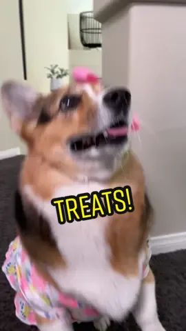 Ask Alexa to 