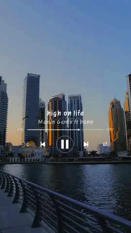#martingarrix #highonlife_ #bonn #fyp #viral #soulmusic #lyricsmusic #fypsoundsgood #lyrics_songs #lyricsvideo #lyricalfeel #highonlifemartingarrix