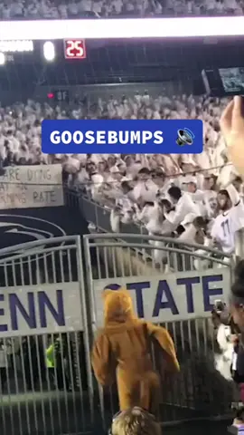 Penn State White Out games are something special 🔊 #football #sports #chills #cfb #CollegeFootball #collegegameday #pennstate