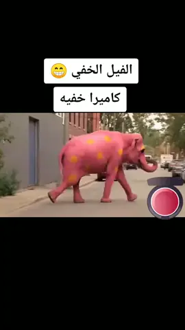 #كاميرا خفيه #السعوديه #السودان #مصر#العراق #المغرب# الجزائر #الاردن لاتنسى تعمل 💔وتعمل+