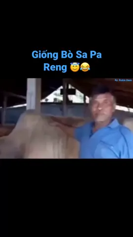 tôi cưng nó như con của mình vậy
