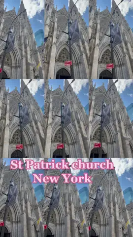#viralvideo #fyp #bloggerlife #viraltiktok #adventure #NYC #NYC #stpatrickchurch