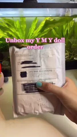 my latest nendoroid doll order has arrived! unbox it with me! #nendoroiddoll #obitsuroid #obitsu11 #ymy #bjd #bjdclothes