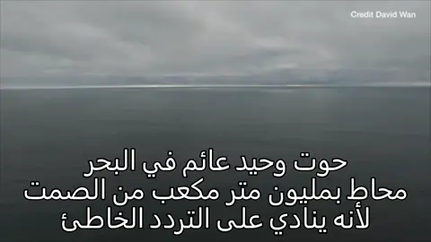 أكثر الأصوات وحدة في العالم