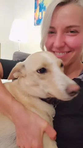 separation anxiety.#dogtiktok #rescuedog #bestfriend #puppy #potcake #dogtok #therapy