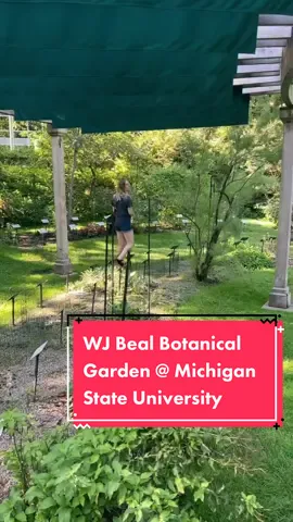 Is there really anything more beautiful than Michigan State University’s campus? The answer is no. #MSU #michiganstate #alumni #exploremichigan