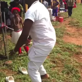 #foryou #fyp #dancer #viral #igbotiktok #foryoupage #igboweddings_ #nigeriantiktok #nigeria #😍 #igboman
