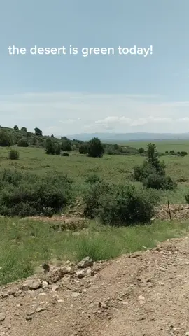 Saturday dirt road drive! #desertview#dirtroadanthem #saturdayvibes #slowdownenjoylife #fyp